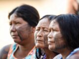 Ao menos 208 indígenas foram assassinados no Brasil em 2023
