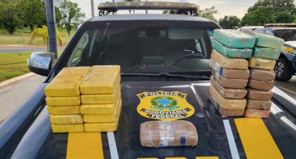 Polícia apreende droga e causa prejuízo de mais de R$5 milhões ao narcotráfico
