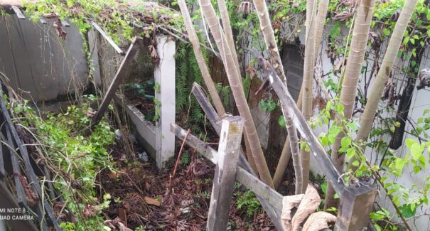 Vídeo: vizinhos denunciam casa abandonada no Angelim, em São Luís