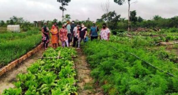 Lei que institui campanha de incentivo ao empreendedor rural é sancionada no Maranhão