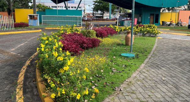 No mês de janeiro tem programação especial de férias no Parque Botânico da Vale
