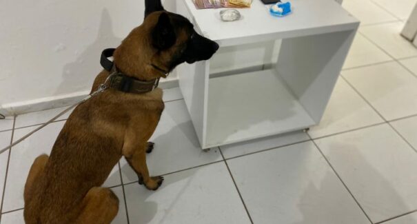Operação da Polícia Civil combate organização criminosa na capital maranhense
