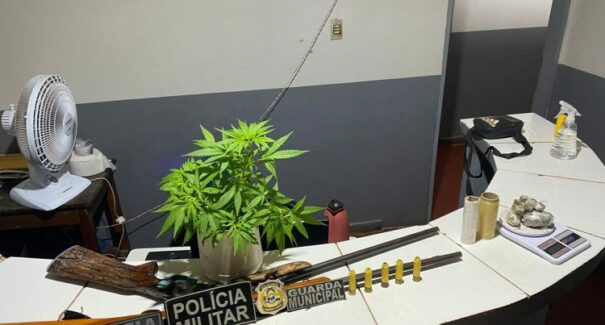 Operação das Polícias Civil e Militar combate tráfico de drogas, em Vargem Grande