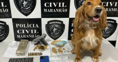 Operações da Polícia combatem tráficos de drogas em cidades do Maranhão