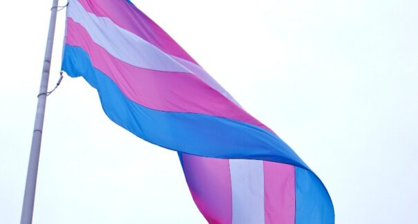 Pessoas trans poderão alterar nome em mutirão realizado pelo TJMA