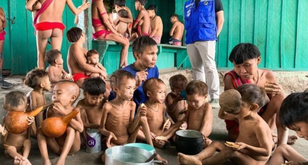 Ianomami: o processo do genocídio dos seres humanos