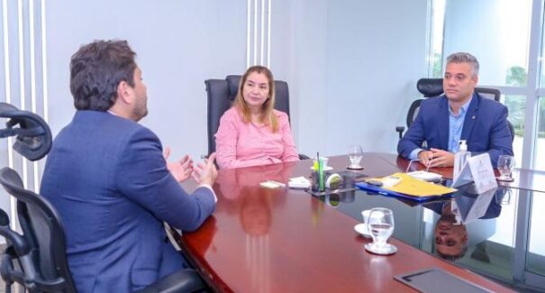 Deputada Iracema Vale discute projetos de conectividade com ministro das Comunicações