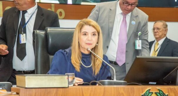 Deputada estadual Iracema Vale é primeira mulher eleita presidente da Alema