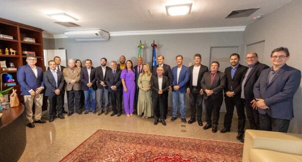 Deputada Iracema Vale discute fortalecimento da economia