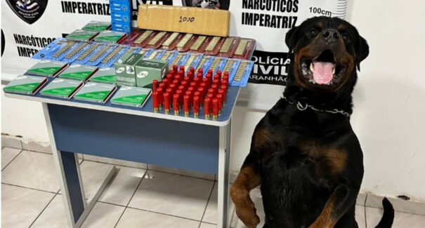 Polícia Civil prende mulher por tráfico de drogas e apreende carga de munições