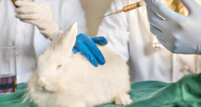 Testes de cosméticos e perfumes em animais são proibidos no Brasil