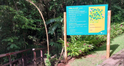 Parque Botânico da Vale ganha nova trilha ecológica do Ariri, em São Luís