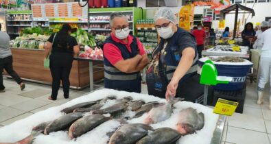 Pescados vendidos durante Semana Santa passam por fiscalização