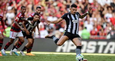 Botafogo surpreende o Flamengo e vence no Brasileiro com um a menos