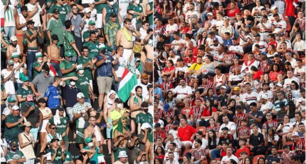Torcida do Palmeiras supera a do São Paulo e assume terceiro lugar no país, revela pesquisa