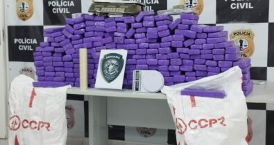 Polícia apreende 235 tabletes de maconha na Região Metropolitana de São Luís