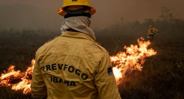 Ibama contrata mais de 100 brigadistas para atuação no Maranhão