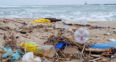Do papel de bala à garrafinha: lixo plástico prejudica das redes de esgoto ao oceano