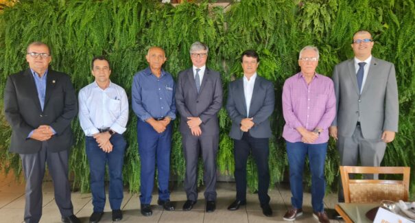 FIEMA e ANEEL discutem investimentos para o setor energético do Maranhão