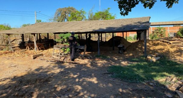 PF combate crimes ambientais e tráfico de drogas em Terra Indígena Araribóia