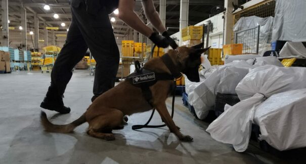 Cocaína e maconha em chocolate são encontrados em encomendas dos Correios em São Luís