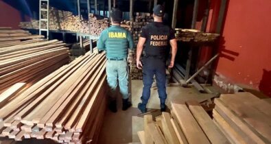 PF realiza operação de combate ao comércio irregular de madeira em terra indígena no Maranhão