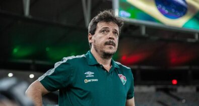 Fernando Diniz vai assumir a seleção brasileira como técnico interino