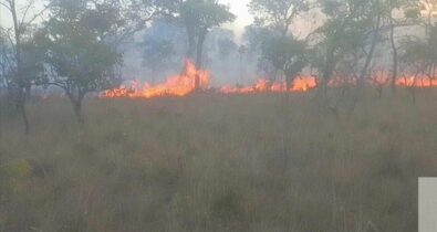 Incêndios no Parque do Mirador levam a pedido de auxílio da Força Nacional