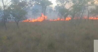 Força Nacional chega ao estado para controlar incêndio no Cerrado maranhense