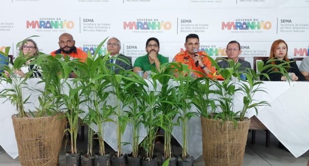 Imperatriz em Chamas: Programa Estadual visa conter queimadas e proteger o Meio Ambiente