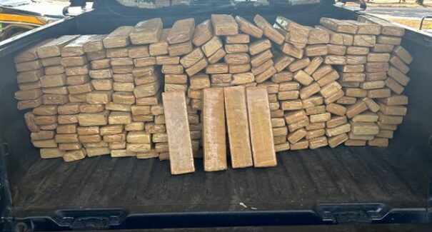 PRF apreende mais de 200 kg de maconha na BR-010, em Imperatriz
