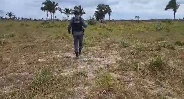 Corpo em estado de decomposição é encontrado na zona rural de Imperatriz