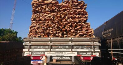 PRF apreende madeira sendo transportada de forma ilegal em Imperatriz