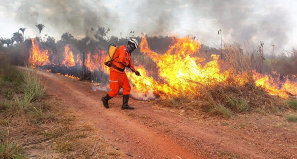 Maranhão registra 496 incêndios em áreas rurais e florestais