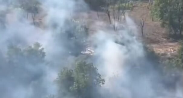 Incêndio atinge área de vegetação em São Luís; foram 149 ocorrências este ano