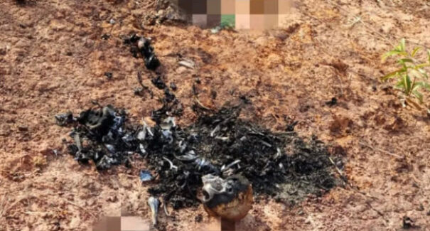 Restos mortais são encontrados carbonizados no interior do Maranhão