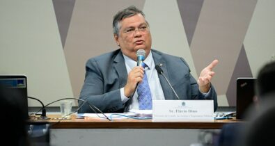 Dino defende regulação da internet em audiência no Senado