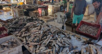 Preço dos pescados deve aumentar no Maranhão