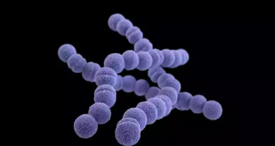 Criança com suspeita de infecção bacteriana morre no interior do MA