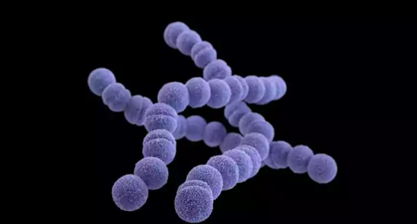 Criança com suspeita de infecção bacteriana morre no interior do MA