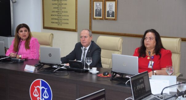 Ministério Público fiscalizou festas em 56 municípios maranhenses