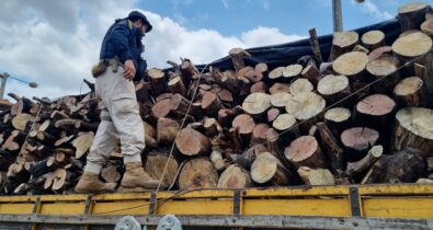 Caminhão transportando madeira de forma ilegal é detido em Imperatriz