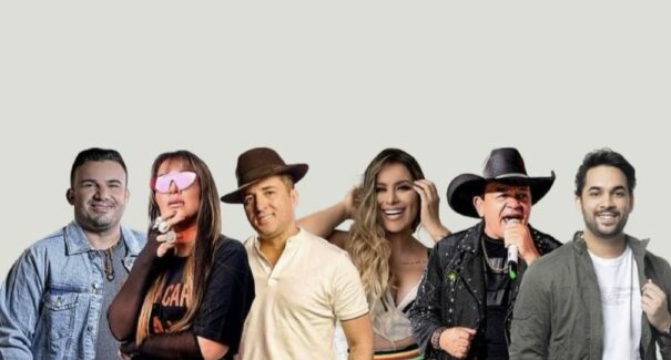 Ministério Público recomenda suspensão de shows em Araioses