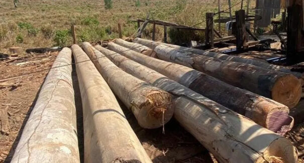 PF localiza serraria operando ilegalmente dentro de Terra Indígena no interior do MA