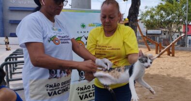 São Luís recebe mais uma etapa da Campanha de Vacinação Antirrábica