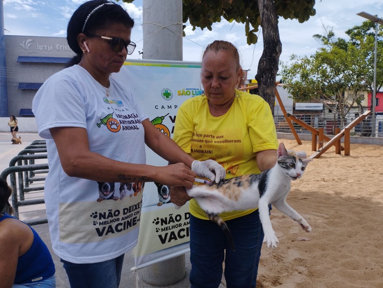 Recomendações ao Motorista, Campanha Faixa Viva - www.santo…