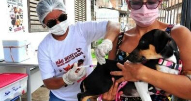 Vacinação antirrábica de cães e gatos acontece novamente no sábado (11)
