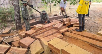 PF combate comercialização ilegal de madeira extraída de Terra Indígena do Maranhão
