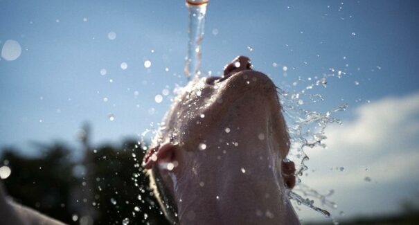 Onda de calor: Ministério da Saúde lança guia com 22 dicas e cuidados