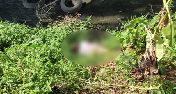 Jovem é encontrado morto às margens de córrego na região do Turu